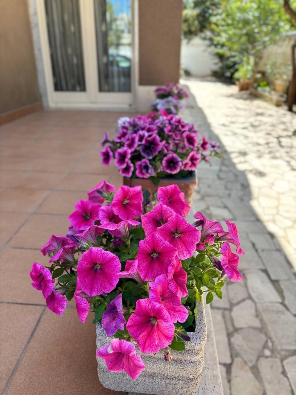 Villa Magnolia Con Giardino บารี ภายนอก รูปภาพ